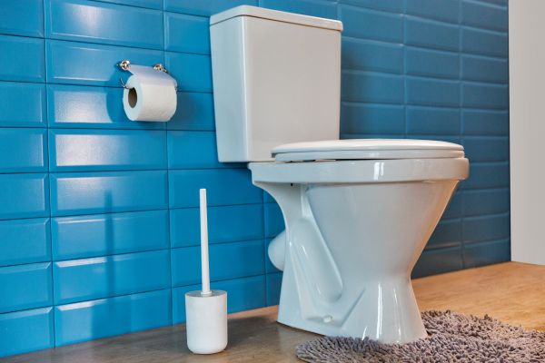 Toilet Tank Repair in Powder Springs